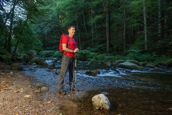 Albsteig Schwarzwald � Klaus-Peter Kappest | www.albsteig.de