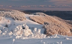 Bernau Schwarzwald: Blick vom Herzogenhorn auf die Alpenkette, im Vordergrund die Krunkelbach-Htte  Ute Maier