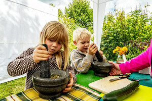 Kräutersalz selber herstellen, mit frischen Kräutern. Foto: Klaus Hansen Kräutersalz selber herstellen, mit frischen Kräutern. Foto: Klaus Hansen