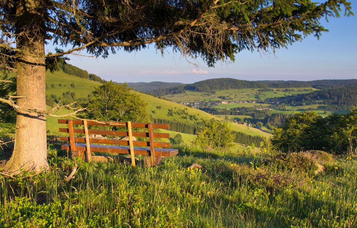 Bank mit Talblick auf dem Panoramaweg in Bernau. Foto: Michael Arndt