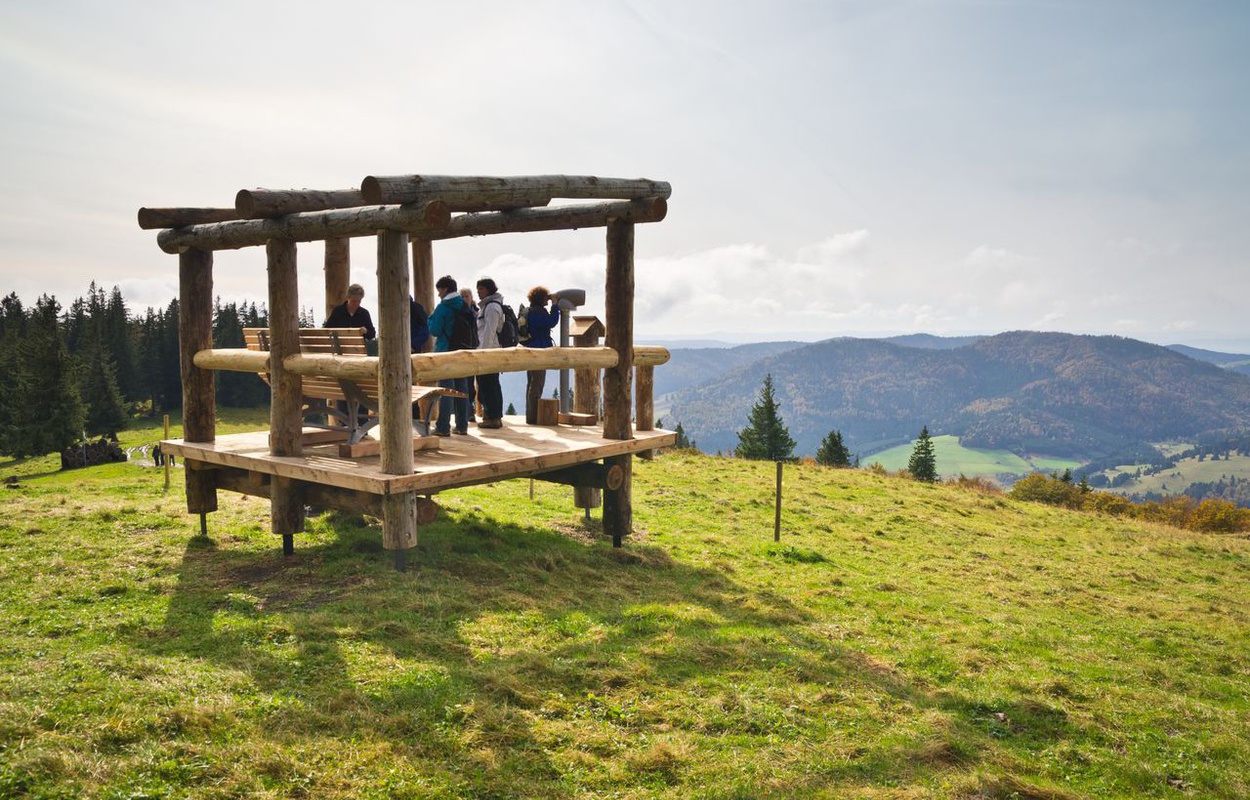 Auf dem Podest \"Am Kleinen Spiesshorn\" bei Bernau sind Himmelsliege und Viscope. Foto: Michael Arndt.