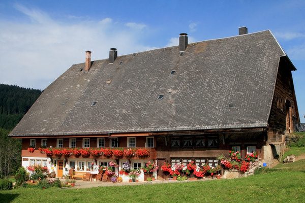 Oberh�fenhof im Sommer