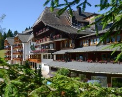 Hotel Sch�ne Aussicht (Hornberg-Niederwasser)