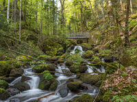 Mit freundlicher Genehmigung der Hotzenwald Tourismus GmbH Mit freundlicher Genehmigung der Hotzenwald Tourismus GmbH