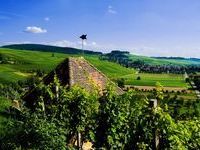 WG Auggen Landschaft WG Auggen Landschaft