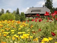Hüsli (Bildnachweis: Tourist-Information Grafenhausen) Hüsli (Bildnachweis: Tourist-Information Grafenhausen)