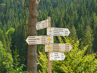 (Bildnachweis: Tourist-Info Vöhrenbach ) (Bildnachweis: Tourist-Info Vöhrenbach )