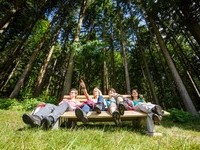 Schwarzwälder Wandersinfonie Himmelssteig Bank Wald (Bildnachweis: © KTG Foto: David Lohmüller) Schwarzwälder Wandersinfonie Himmelssteig Bank Wald (Bildnachweis: © KTG Foto: David Lohmüller)