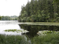  (Bildnachweis: Tourist-Information Grafenhausen)
