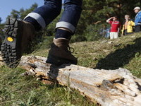 (Bildnachweis: Stadt Nagold - Foto ©Ulrike Klumpp) (Bildnachweis: Stadt Nagold - Foto ©Ulrike Klumpp)