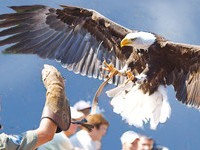(Bildnachweis: Vogelpark-Steinen) (Bildnachweis: Vogelpark-Steinen)