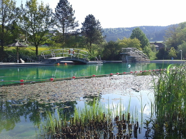 Bildnachweis: Mit freundlicher Genehmigung des NATUR-ERLEBNIS-BAD Glatten e.V. Bildnachweis: Mit freundlicher Genehmigung des NATUR-ERLEBNIS-BAD Glatten e.V.