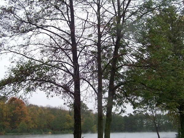 Bildnachweis: Bildrechte Gemeinde Malterdingen Bildnachweis: Bildrechte Gemeinde Malterdingen