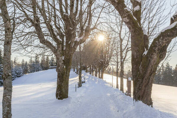 Ohmenkapelle St. M�rgen Bildnachweis: Mit freundlicher Genehmigung der Hochschwarzwald Tourismus GmbH