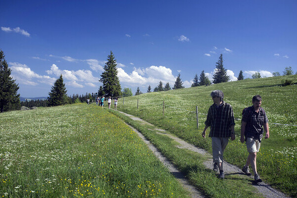  Bildnachweis: Mit freundlicher Genehmigung der Stadt Waldkirch / J�rgen Gocke