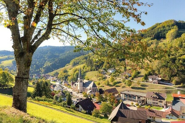 Premiumspazierwanderweg Panoramawegle Copyright: (Bad Peterstal-Griesbach) Premiumspazierwanderweg Panoramawegle Copyright: (Bad Peterstal-Griesbach)