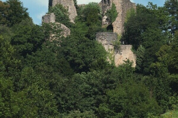 Copyright: (Mit freundlicher Genehmigung von Staatliche Schlösser und Gärten Ba.-Wü.) Copyright: (Mit freundlicher Genehmigung von Staatliche Schlösser und Gärten Ba.-Wü.)