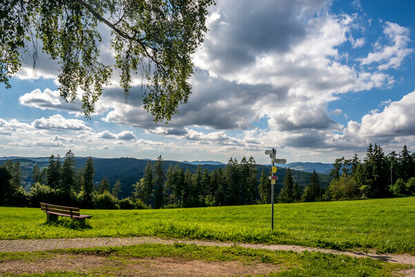 Schinkenweg Aussicht Copyright: (� Tourist-Information H�chenschwand, Fotograf Klaus Hansen)