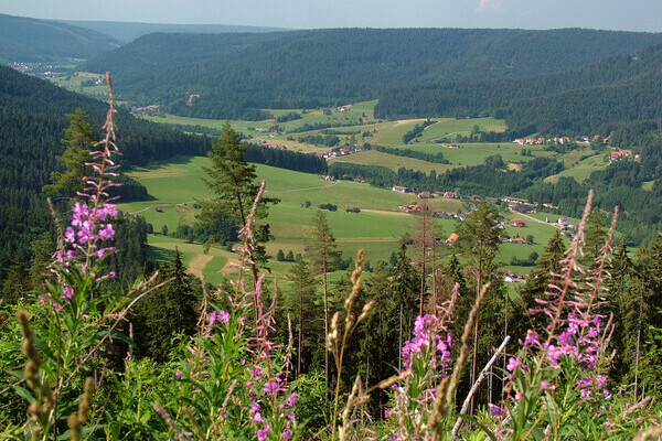 Blick ins Murgtal von der K�nigswart Copyright: (Mit freundlicher Genehmigung der Gemeinde Seewald)