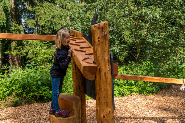 Wolfspfad Bildnachweis: � Tourist-Information H�chenschwand, Fotograf Klaus Hansen