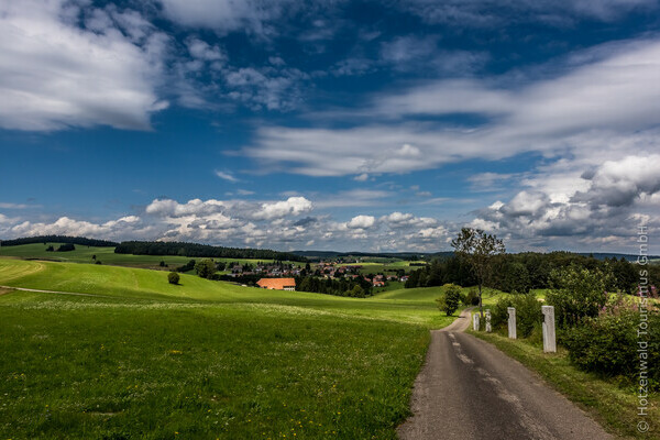 Ausblick über Herrischried Bildnachweis: Hotzenwald Tourismus GmbH Ausblick über Herrischried Bildnachweis: Hotzenwald Tourismus GmbH