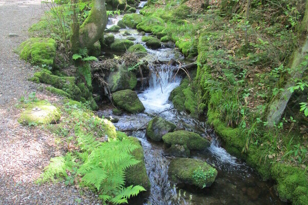 Gottschl�gbach Bildnachweis: Tourist-Info Ottenh�fen