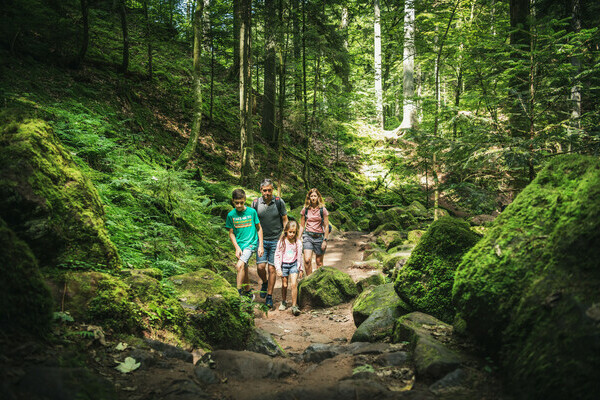 Familienwanderung Monbachtal Bildnachweis: ©Locher Fotodesign & Manufaktur Familienwanderung Monbachtal Bildnachweis: ©Locher Fotodesign & Manufaktur