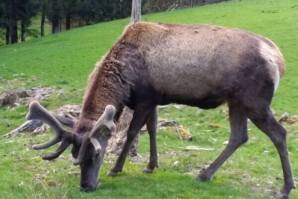  Bildnachweis: � Baiersbronn Touristik