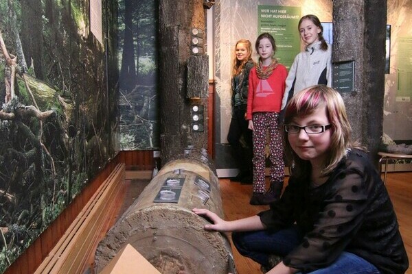 Bannwald Bildnachweis: � Natur-Infozentrum Kaltenbronn