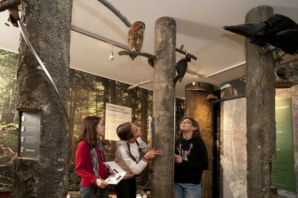 Vogelstimmen Bildnachweis: � Natur-Infozentrum Kaltenbronn