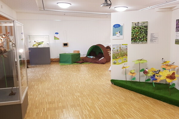 Sonderausstellung: Insekten Bildnachweis: � Natur-Infozentrum Kaltenbronn